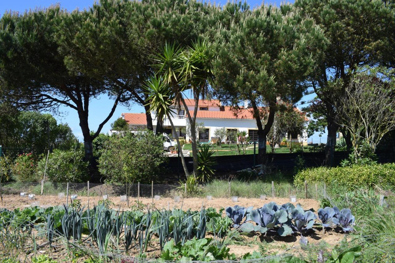 Casa Jardim Peniche Bed and Breakfast São Bernardino Eksteriør billede